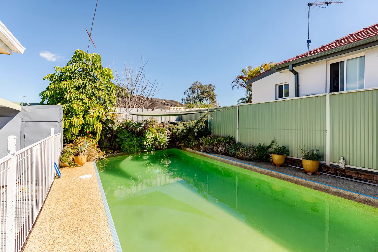 Pool looking toward the planted garden beds