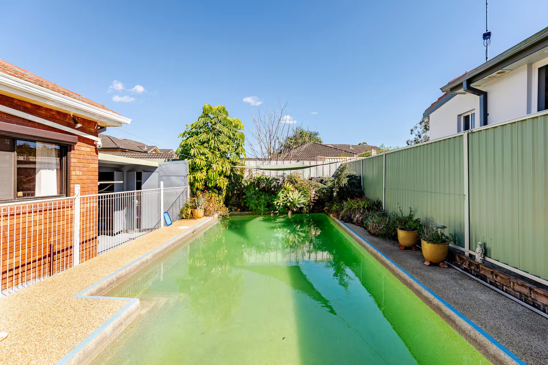 The saltwater pool with the house behind it